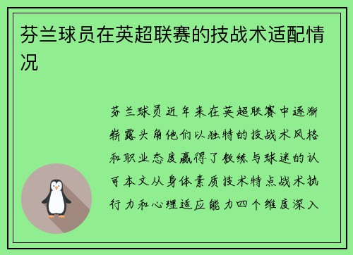 芬兰球员在英超联赛的技战术适配情况